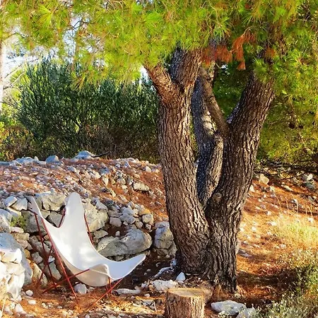 Robinson Eden * Milna (Brac)